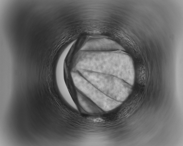 X0000096190747200802081520