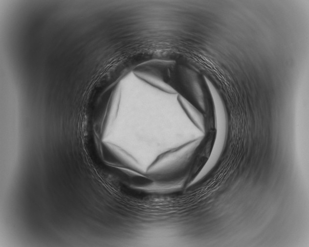 X0000096190750200802081520