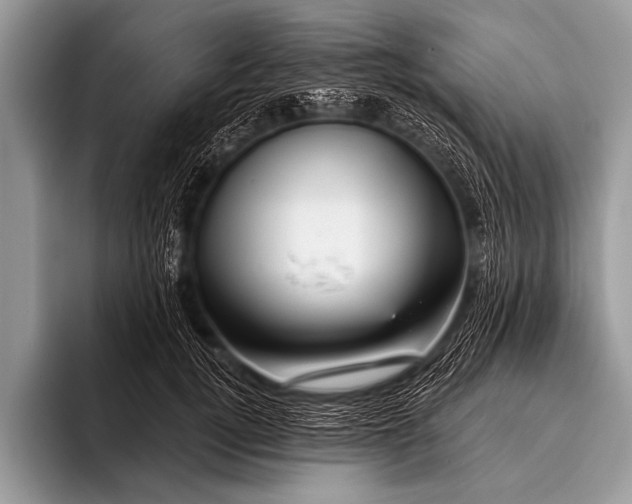 X0000096190752200802081520