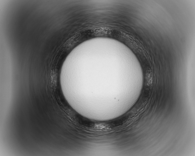 X0000096190753200802081520