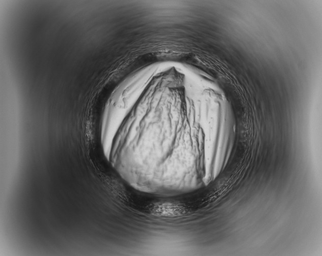 X0000096190755200802081520