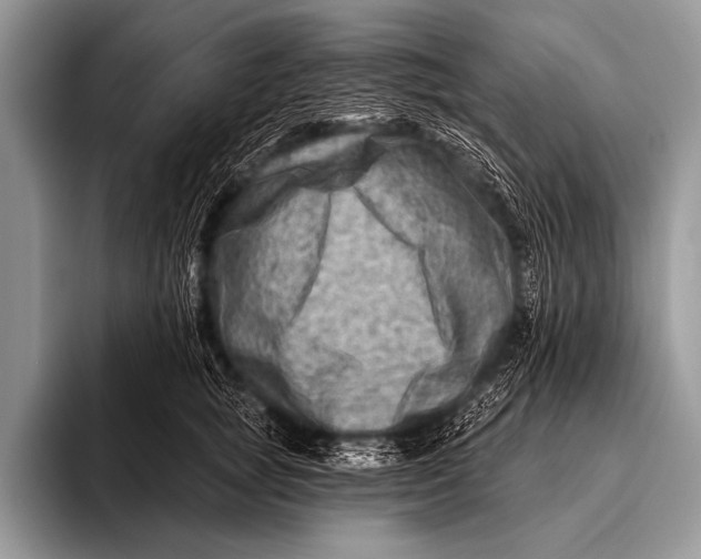 X0000096190757200802081520