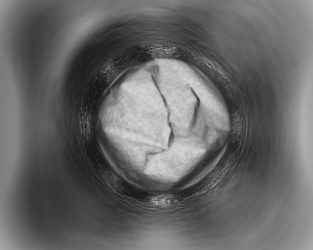 X0000096190761200802081520