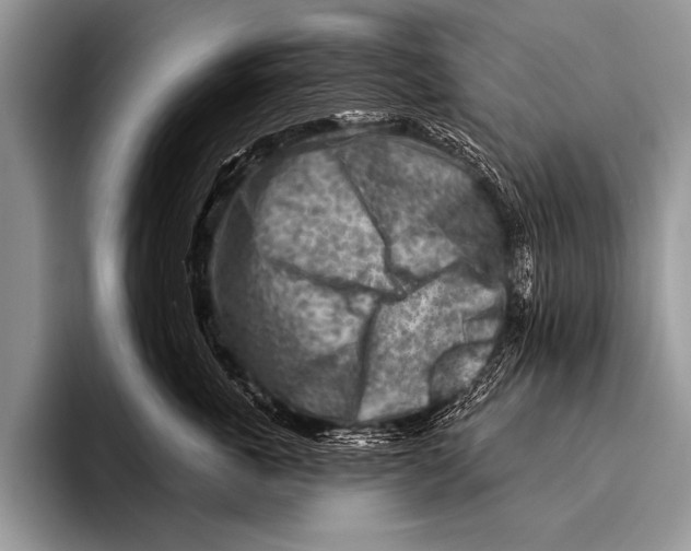 X0000096190763200802081520