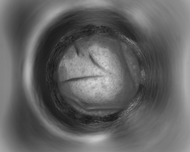 X0000096190765200802081520