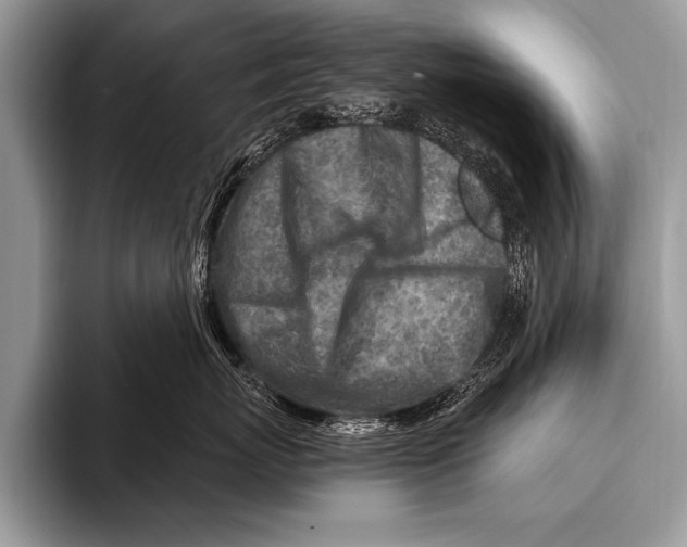 X0000096190767200802081520