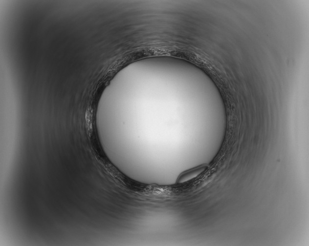 X0000096190768200802081520