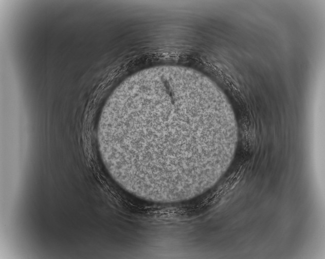 X0000096190769200802081519