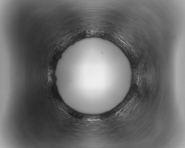 X0000096190770200802081519