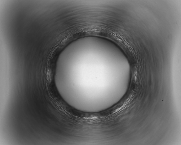 X0000096190772200802081519