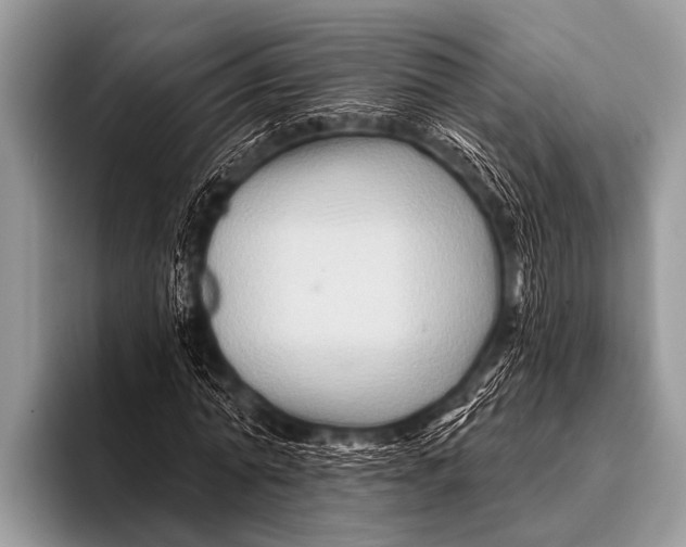 X0000096190774200802081519