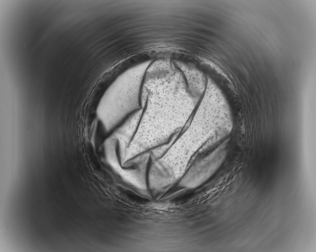 X0000096190775200802081519