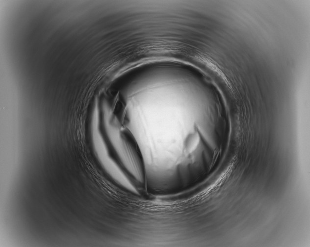 X0000096190777200802081519