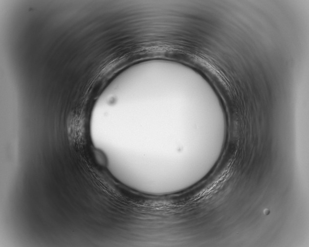 X0000096190778200802081519