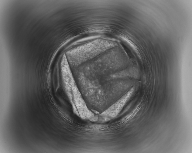 X0000096190779200802081519