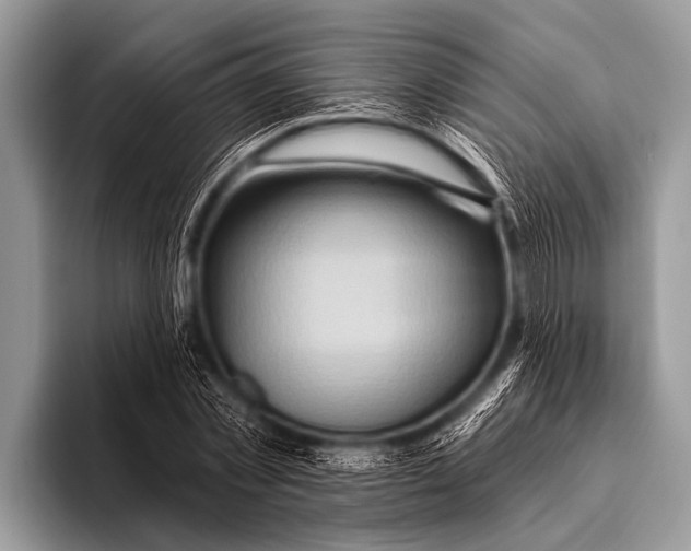 X0000096190781200802081519