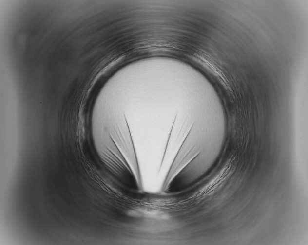 X0000096190782200802081519