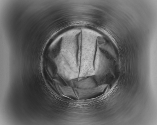 X0000096190783200802081519