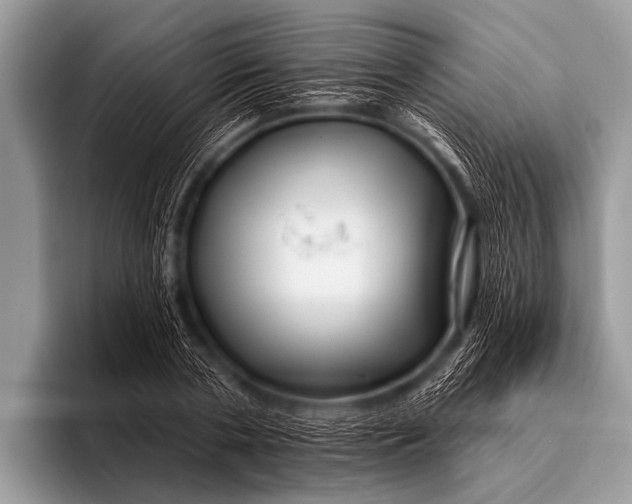 X0000096190786200802081519