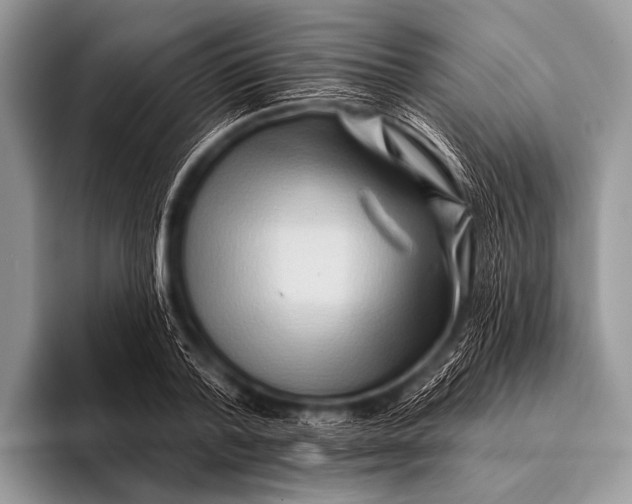 X0000096190788200802081519