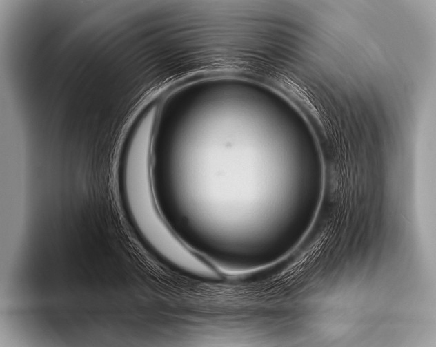 X0000096190789200802081519