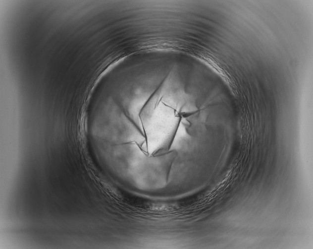 X0000096190790200802081519