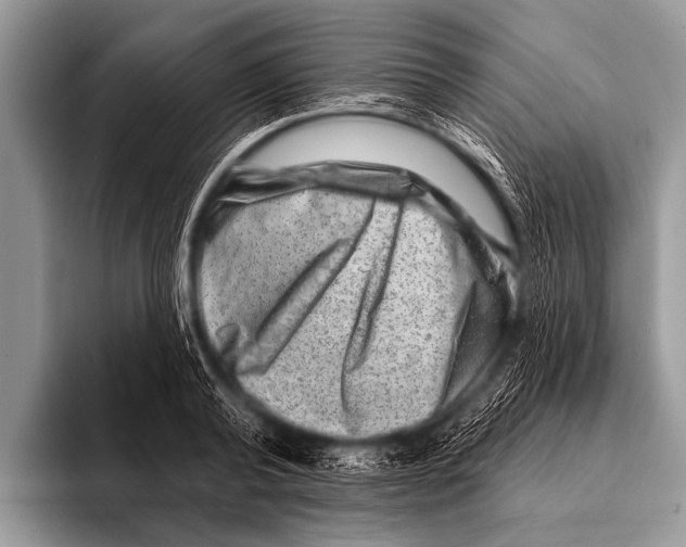 X0000096190792200802081519