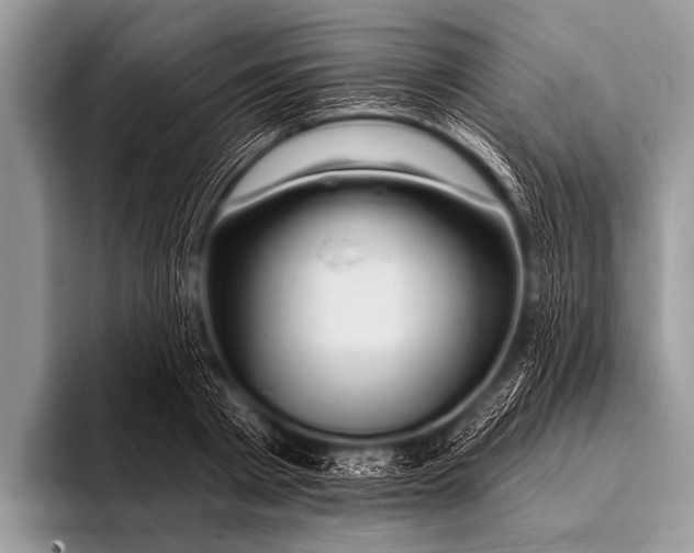 X0000096190793200802081519