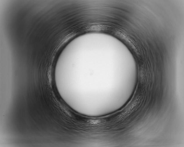 X0000096190794200802081519