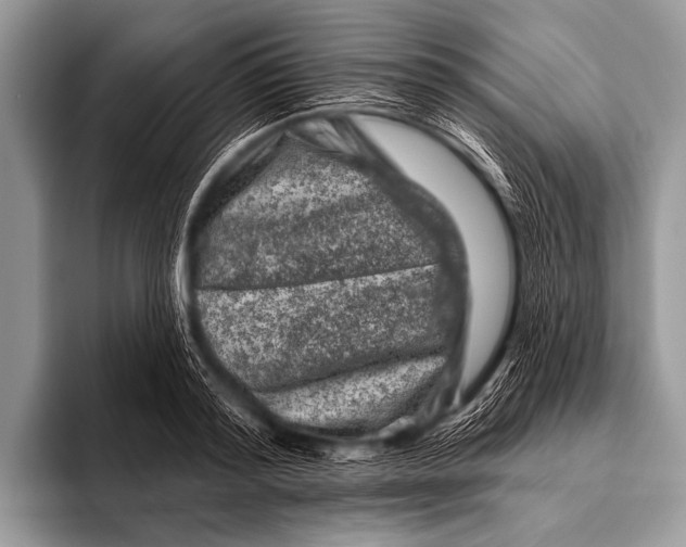 X0000096190796200802081519