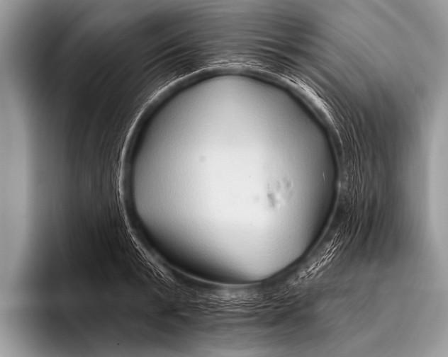 X0000096190799200802081519