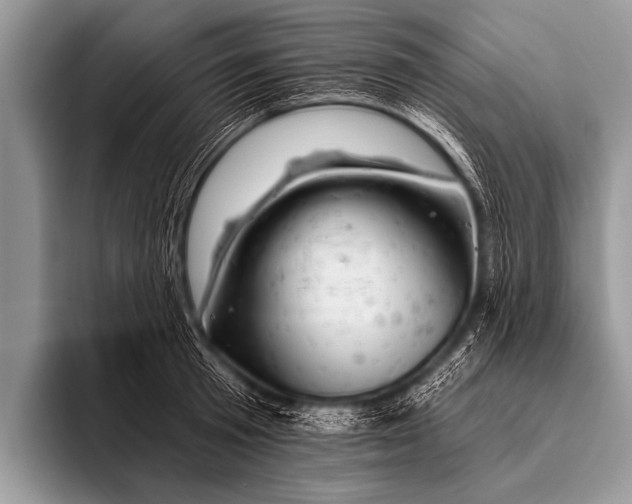 X0000096190801200802081519