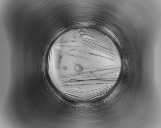 X0000096190802200802081519