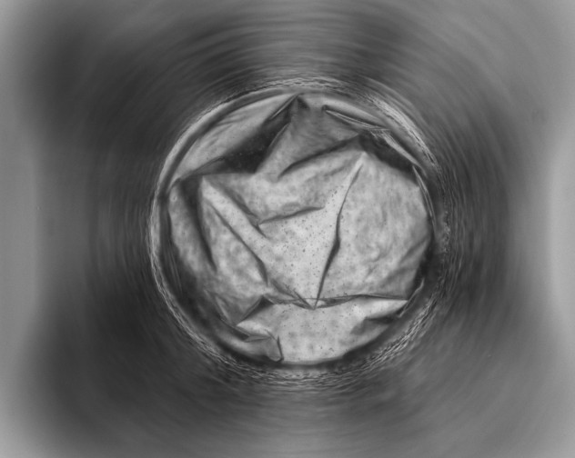 X0000096190804200802081519