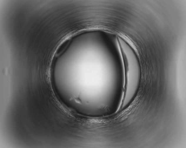 X0000096190805200802081519