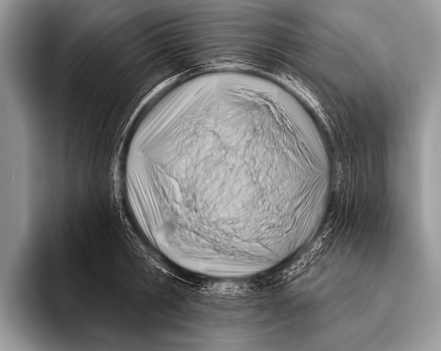 X0000096190806200802081519