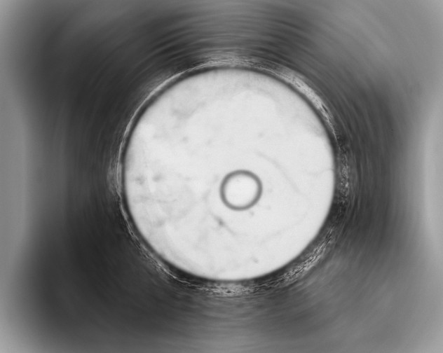 X0000096190807200802081519