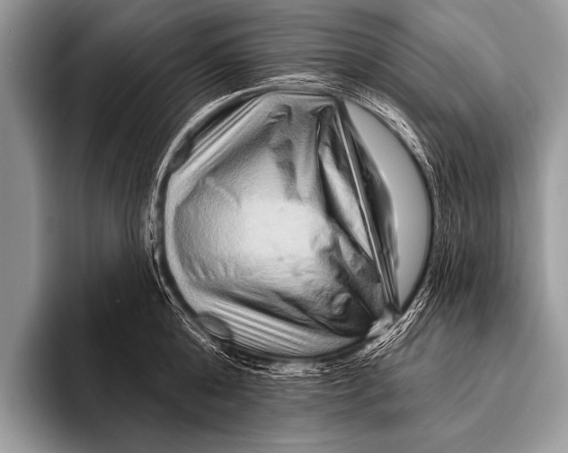 X0000096190808200802081519