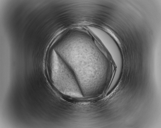 X0000096190810200802081519