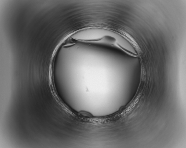 X0000096190812200802081519