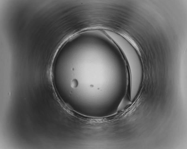 X0000096190813200802081519