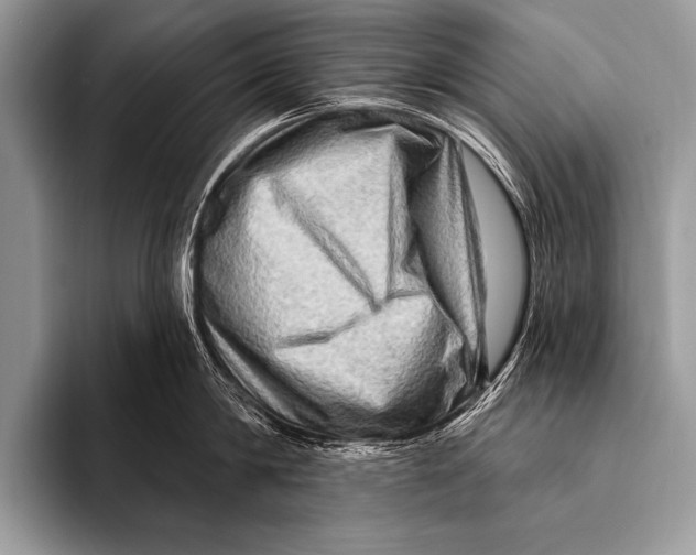 X0000096190814200802081519