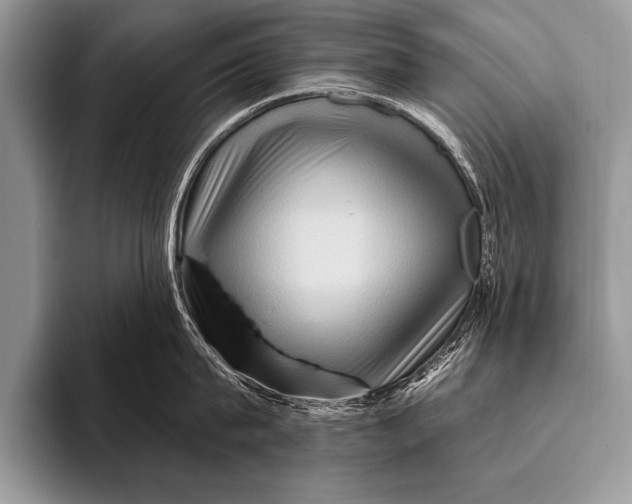 X0000096190815200802081519