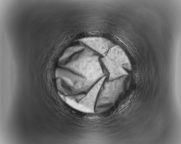 X0000096190817200802081518