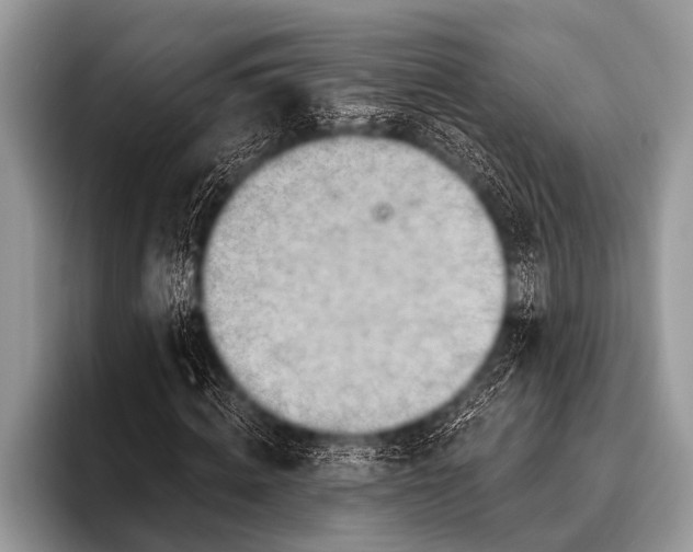 X0000096190820200802081518