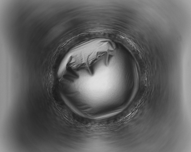 X0000096190821200802081518