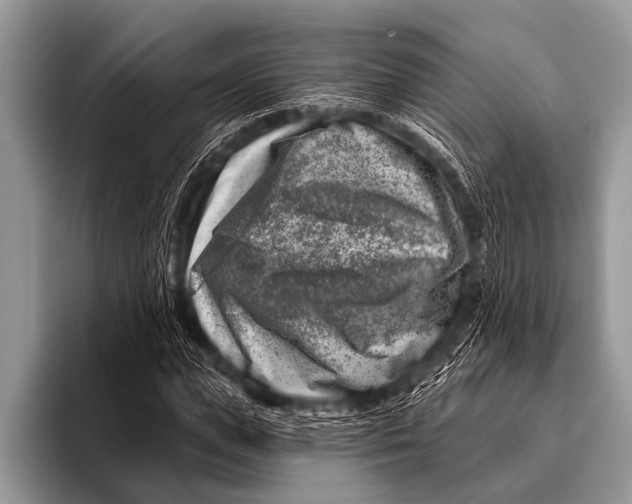 X0000096190823200802081518