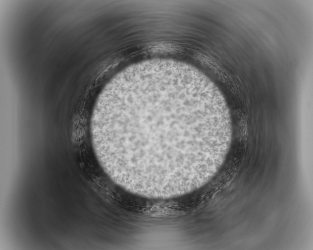 X0000096190824200802081518