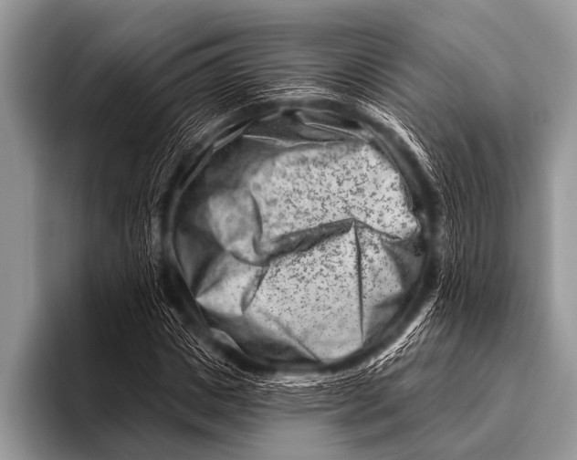 X0000096190825200802081518