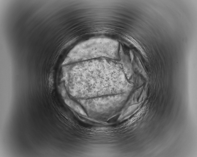 X0000096190826200802081518